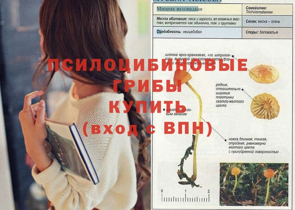 MESCALINE Иннополис