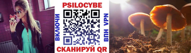 Галлюциногенные грибы мицелий  Мурино 