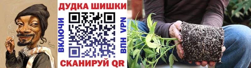 наркотики  Мурино  Бошки марихуана VHQ 